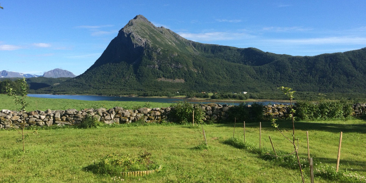 Beautiful landscape and farm view at Engeløya in Steigen.